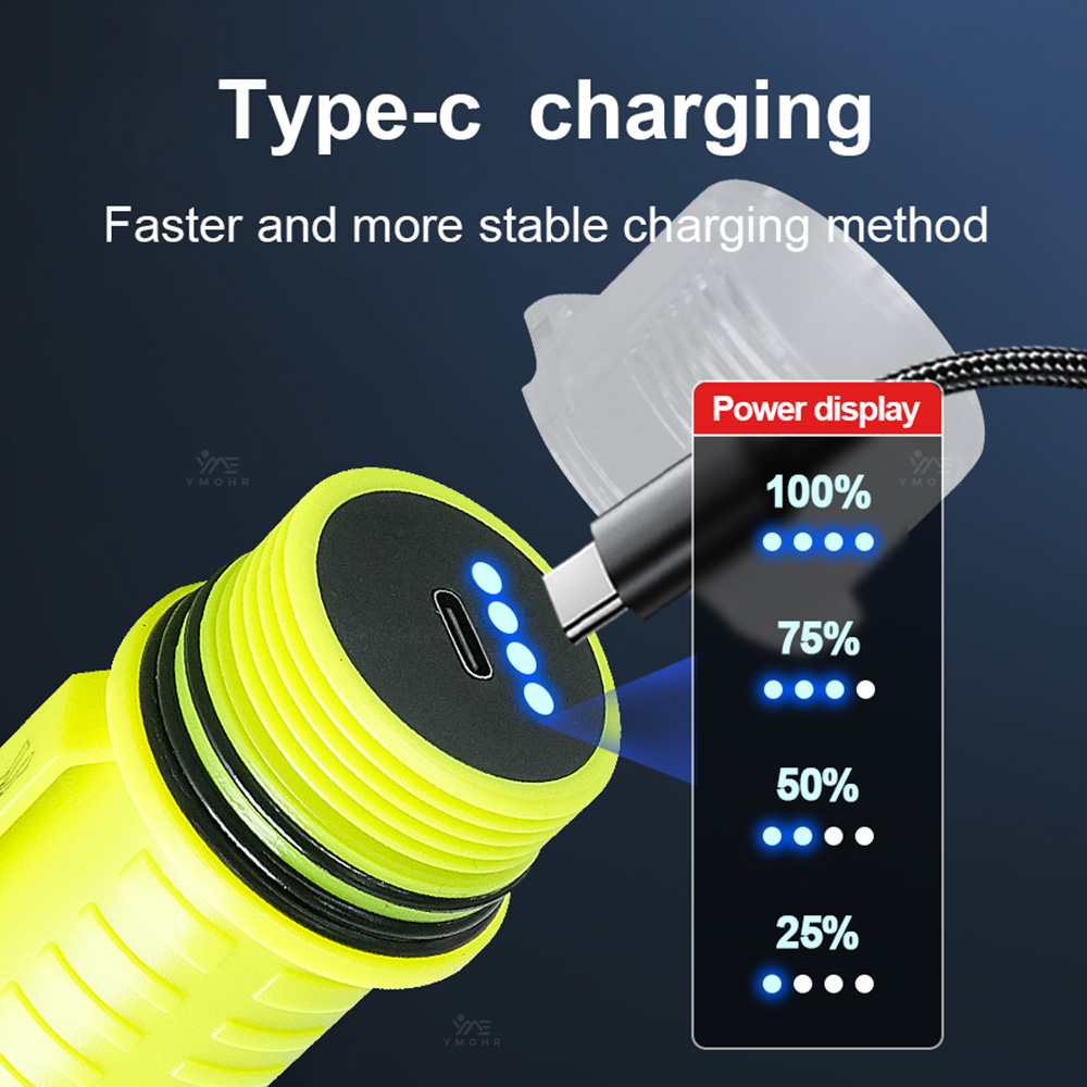 New Portable Professional LED  - Fishing Light reseña y precio